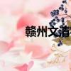 贛州文清實驗學校（文清實驗學校）