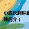 小蠹長胸腫腿金小蜂（關于小蠹長胸腫腿金小蜂簡介）