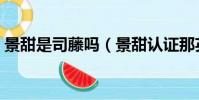 景甜是司藤嗎(景甜認證那英司藤東北分藤)