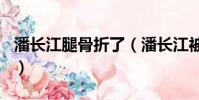 潘長江腿骨折了(潘長江被800斤哈雷砸傷腿)