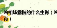 兇相畢露指的什么生肖(兇相畢露開過什么生肖)