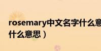 rosemary中文名字什么意思(rosemary是什么意思)