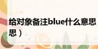 給對象備注blue什么意思(備注blue什么意思)