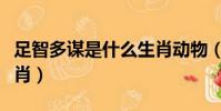 足智多謀是什么生肖動物(足智多謀是什么生肖)