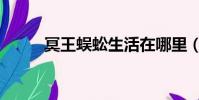 冥王蜈蚣生活在哪里(冥王蜈蚣)