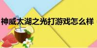 神威太湖之光打游戲怎么樣(神威 太湖之光)
