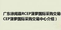 廣東徐聞縣RCEP菠蘿國際采購交易中心(關于廣東徐聞縣RCEP菠蘿國際采購交易中心介紹)