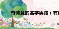 有詩意的名字男孩(有詩意的名字)