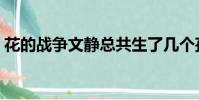 花的戰爭文靜總共生了幾個孩子(花的戰爭)
