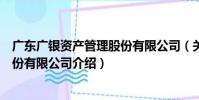 廣東廣銀資產管理股份有限公司(關于廣東廣銀資產管理股份有限公司介紹)