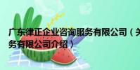廣東律正企業咨詢服務有限公司(關于廣東律正企業咨詢服務有限公司介紹)