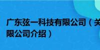 廣東弦一科技有限公司(關于廣東弦一科技有限公司介紹)