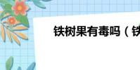 鐵樹果有毒嗎(鐵樹果)
