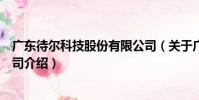 廣東待爾科技股份有限公司(關于廣東待爾科技股份有限公司介紹)