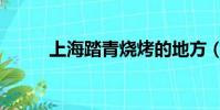 上海踏青燒烤的地方(上海踏青)