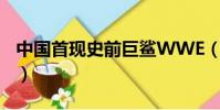 中國首現史前巨鯊WWE(中國首現史前巨鯊)