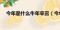 今年是什么牛年辛丑(今年是什么牛年)