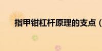 指甲鉗杠桿原理的支點(指甲鉗杠桿)