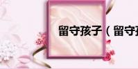 留守孩子(留守孩子)