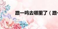 路一鳴去哪里了(路一鳴女兒)