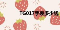 TG017手表多少錢(tg01)