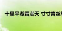 十里平湖霜滿天 寸寸青絲愁華年是誰寫的