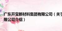 廣東開寶新材料集團有限公司(關于廣東開寶新材料集團有限公司介紹)