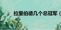 拉里伯德幾個總冠軍(拉里伯德)