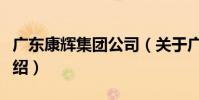 廣東康輝集團公司(關于廣東康輝集團公司介紹)