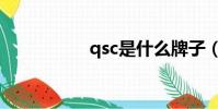 qsc是什么牌子(qsc)