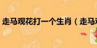 走馬觀花打一個生肖(走馬觀花打一個生肖)