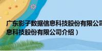 廣東影子數據信息科技股份有限公司(關于廣東影子數據信息科技股份有限公司介紹)