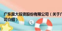 廣東龐大投資股份有限公司(關于廣東龐大投資股份有限公司介紹)