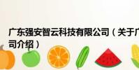 廣東強安智云科技有限公司(關于廣東強安智云科技有限公司介紹)