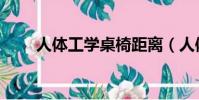 人體工學桌椅距離(人體工學桌椅)