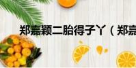 鄭嘉穎二胎得子丫(鄭嘉穎二胎得子)