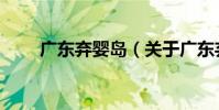 廣東棄嬰島(關于廣東棄嬰島介紹)