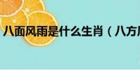 八面風雨是什么生肖(八方風雨是什么生肖)