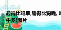 起得比雞早,睡得比狗晚, 吃得比豬差,干得比牛多!圖片