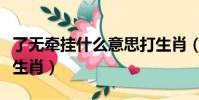 了無牽掛什么意思打生肖(無牽無掛代表什么生肖)