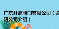 廣東開高閥門有限公司(關于廣東開高閥門有限公司介紹)
