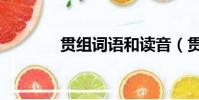 貫組詞語和讀音(貫組詞語)