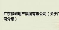 廣東微誠地產集團有限公司(關于廣東微誠地產集團有限公司介紹)