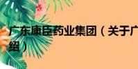廣東康臣藥業集團(關于廣東康臣藥業集團介紹)