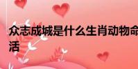 眾志成城是什么生肖動物命里星座頻道匠子生活