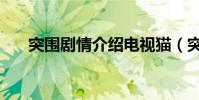 突圍劇情介紹電視貓(突圍劇情介紹)