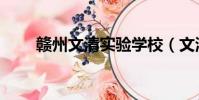 贛州文清實驗學校(文清實驗學校)