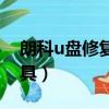 朗科u盤修復工具如何選擇（朗科u盤修復工具）