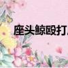 座頭鯨毆打虎鯨小說（座頭鯨毆打虎鯨）