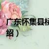 廣東懷集縣橋頭鎮（關于廣東懷集縣橋頭鎮介紹）